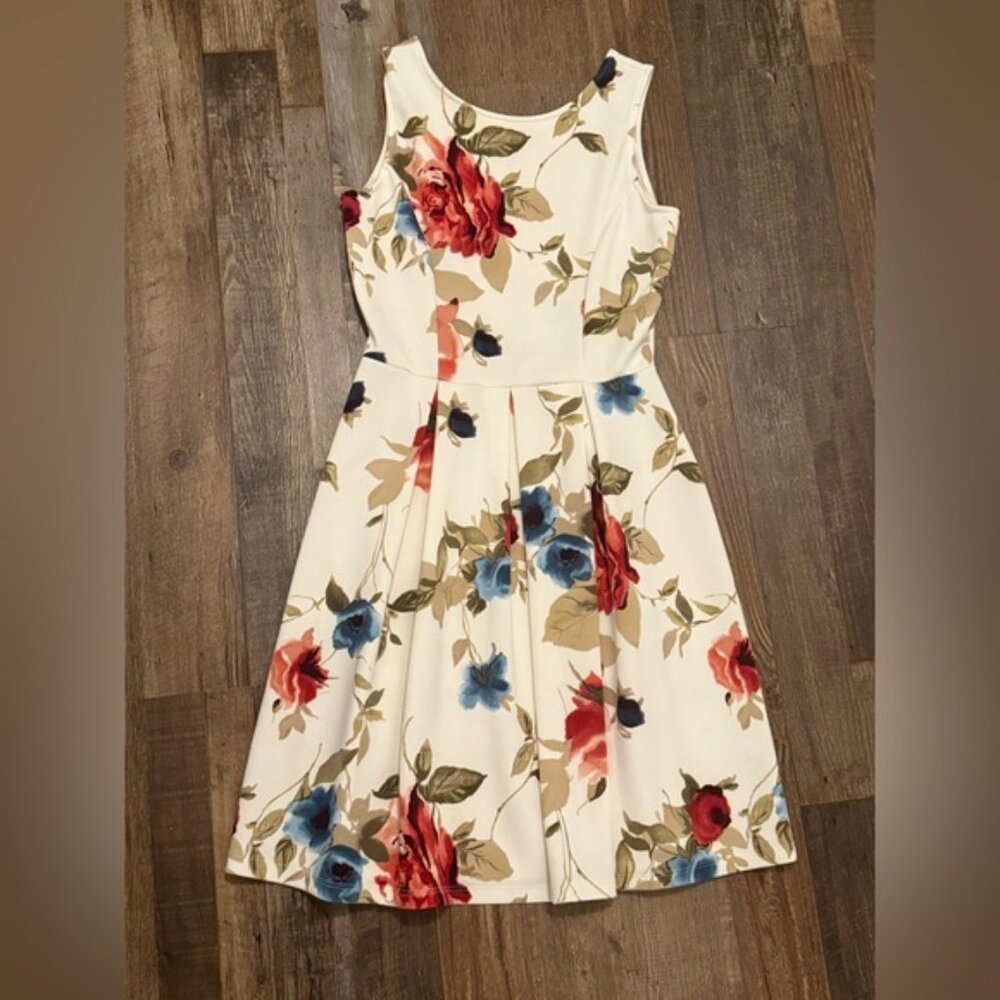 Gorgeous Rose Floral Dress by Gilli (USA Made) Sz. Med